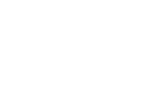 logo-lps