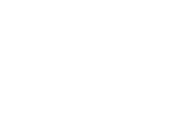 logo-ritz-mandarin