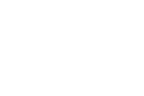 logo-villamagna